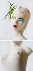 10% SALE Vargas Mermaid Air Plant Garden on India Crystal