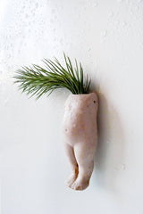 10% SALE My lil Magnet Air Plant Garden Growing from Antique German Bisque