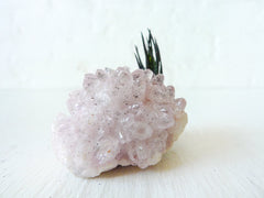10% SALE Air Plant Crystal Garden Pink Lavender Cobaltocalcite Crystal Stone