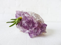 Baby Spiky Air Plant Pup Amethyst Crystal Rock Garden Shiny Druze Geode Purple Stone