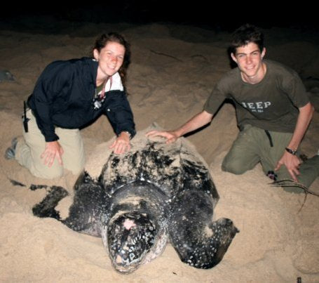 Leatherback Sea Turtle Expedition