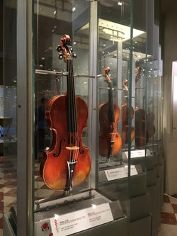 Violin in the Accedemia Museum in Florence, Italy