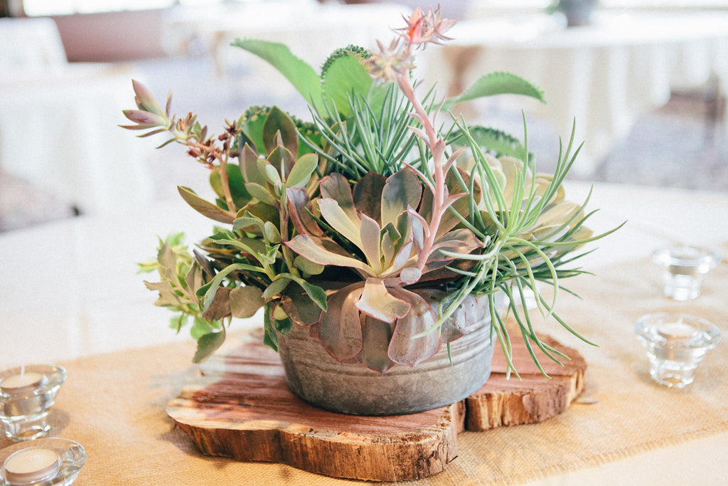 Succulents and wood blocks as a unique table centerpiece. | An Outdoor Wedding That’s Simply Charming | Kennedy Blue