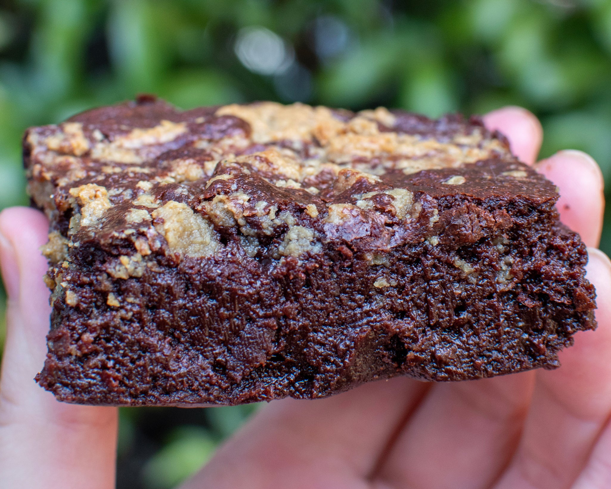 Fudgy Brownies with Pumpkin Seed Swirl