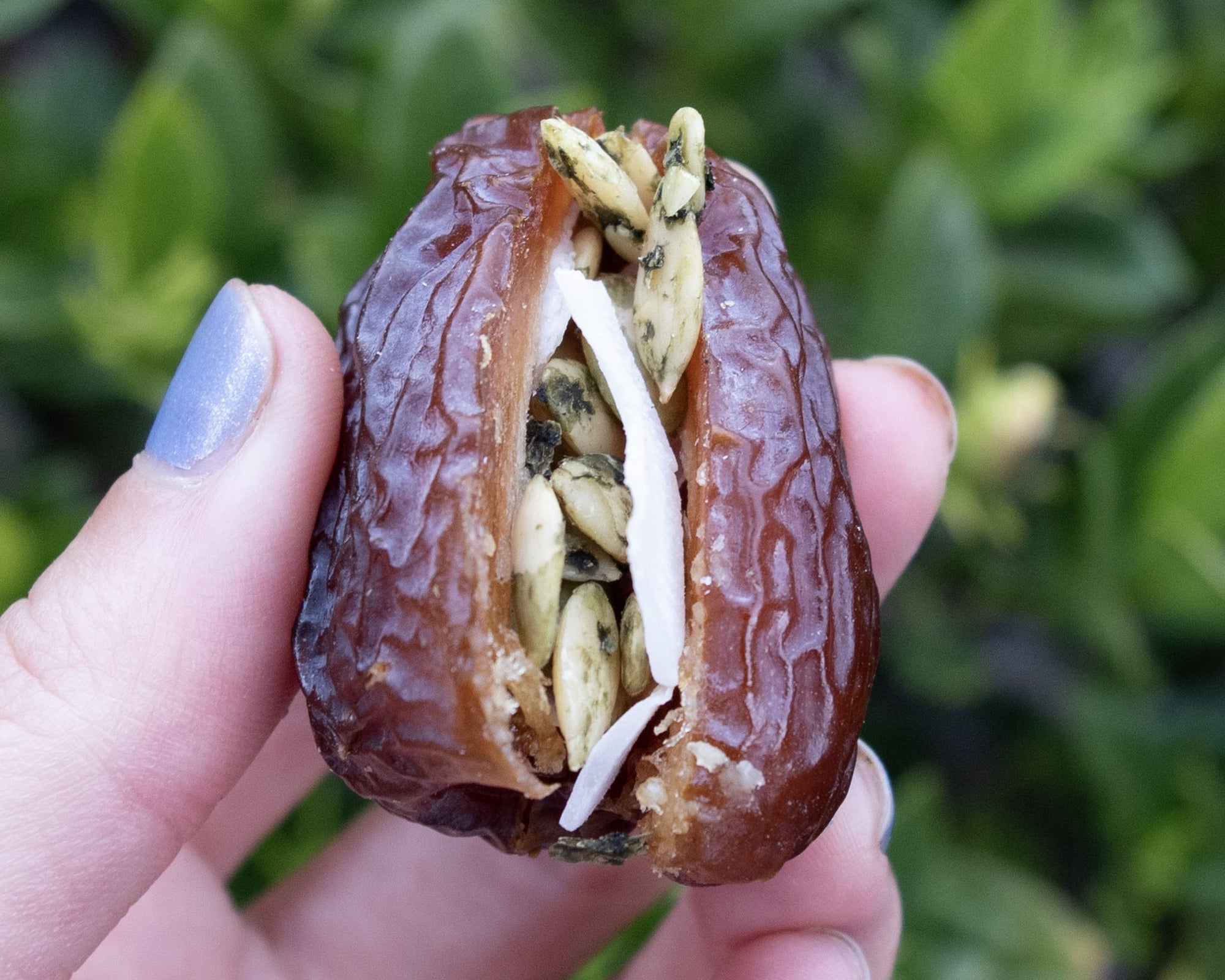 Stuffed Medjool Date with Shredded Coconut