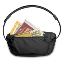 black travel waist pouch for holding passports 