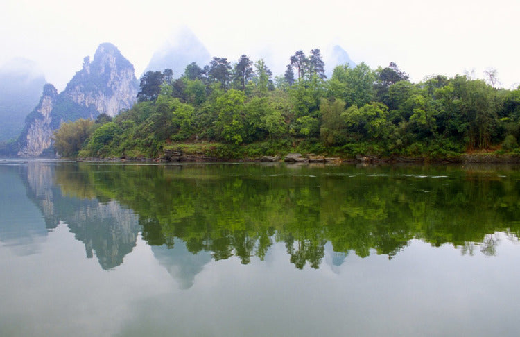 china landscape water and trees on overcast day