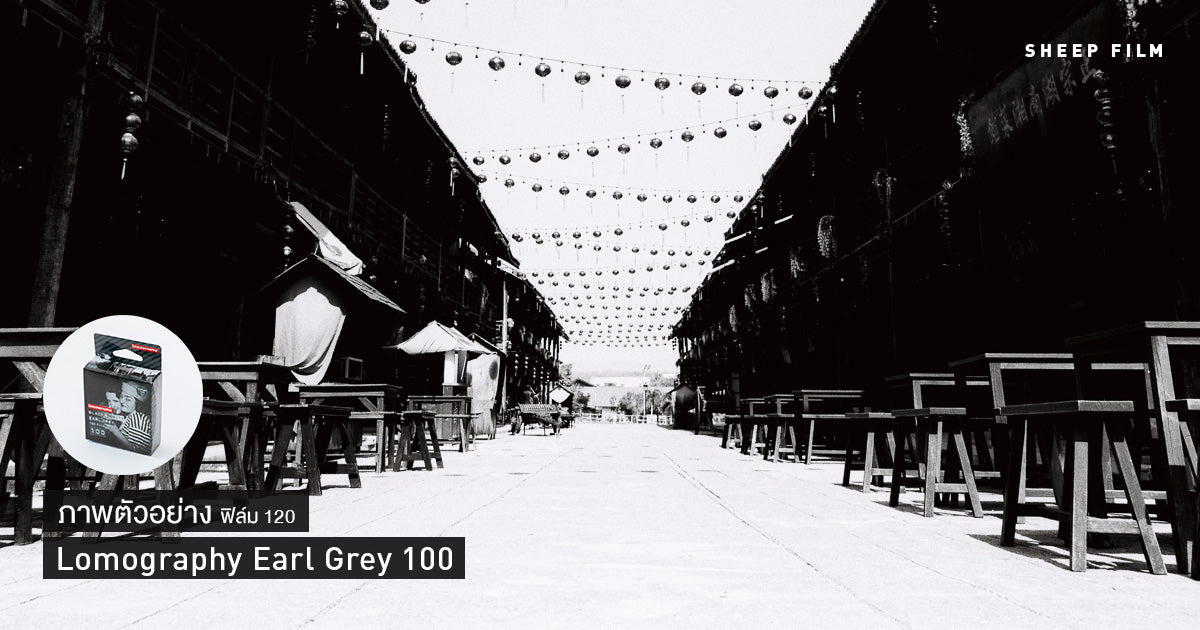 Lomo Earl Grey 100