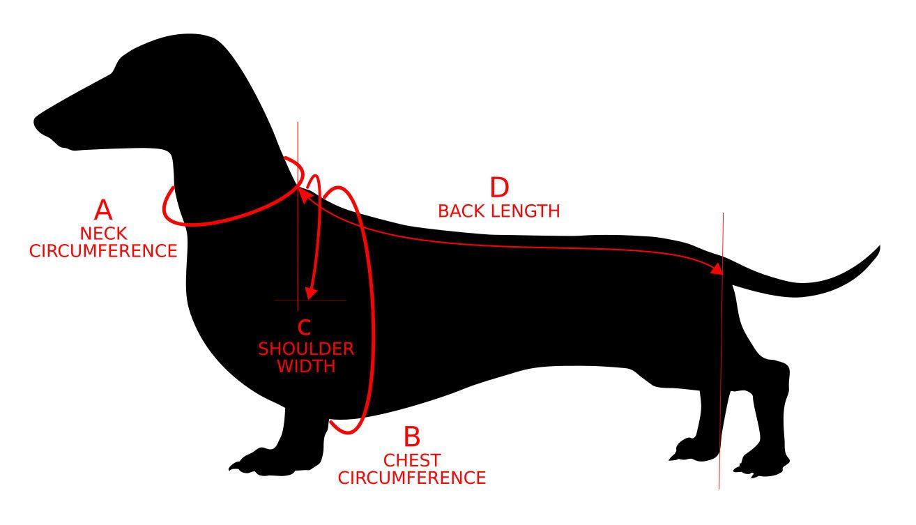 how-to-take-measurements-from-a-dog-for-knitted-clothes-dachshundknit