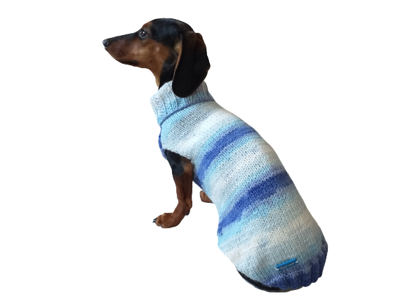 mini sausage dog clothes