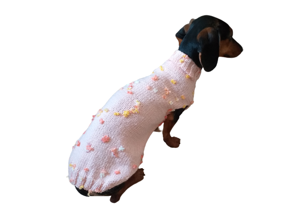 mini dachshund pajamas