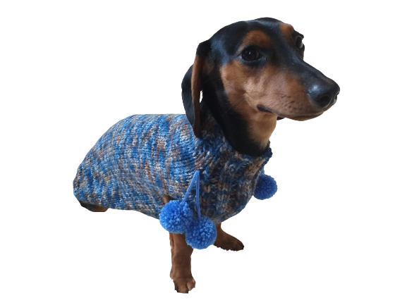 mini sausage dog clothes