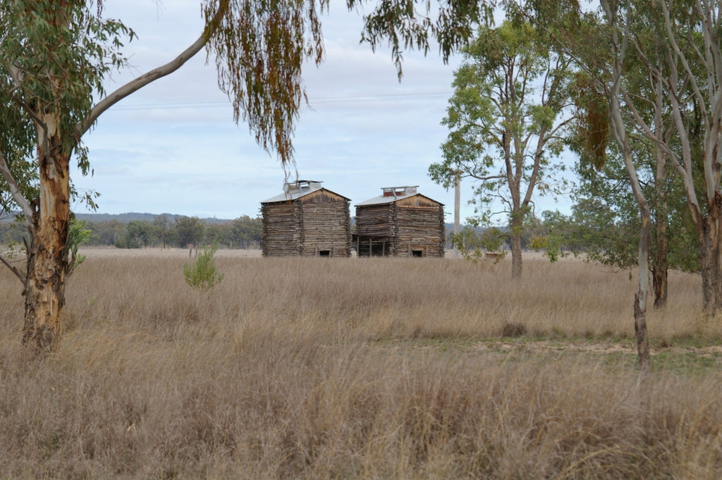  Texas Australia