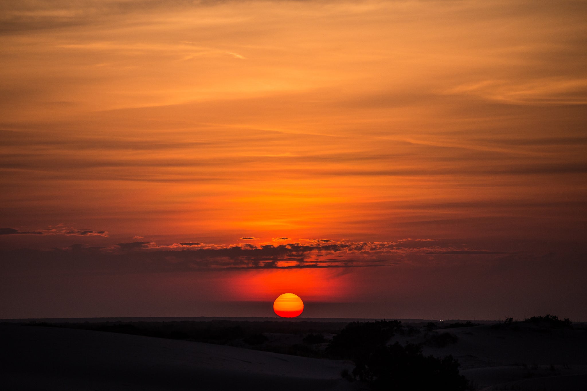 Sunrise at Monahans Sandhills State Park