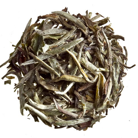 silver needles loose tea white tea