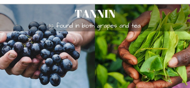 Tannin - Why does my tea get bitter
