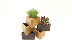 A triangular planter handmade from reclaimed Midwestern Barn Oak.