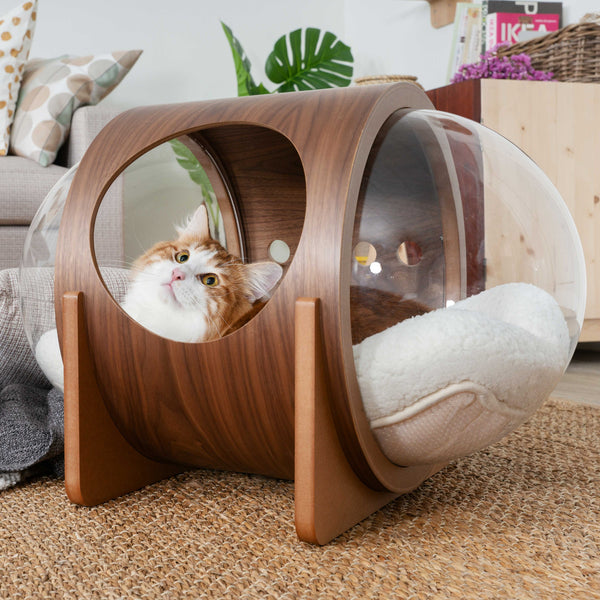 【猫用ベッド】MYZOO-宇宙船ALPHA /ウォールナット