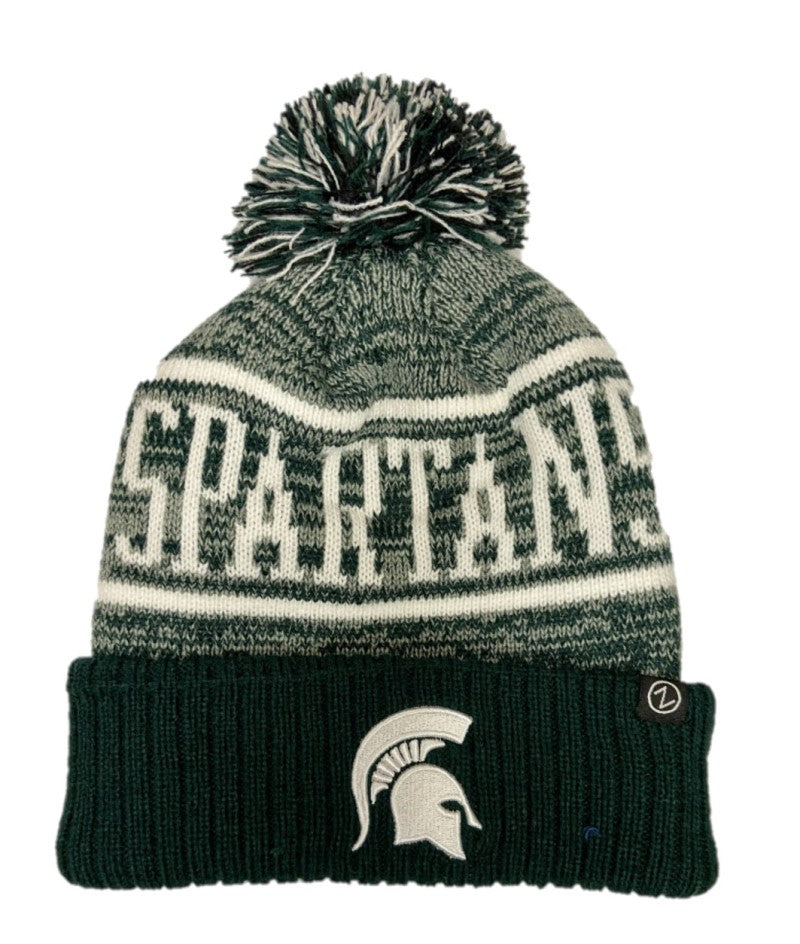 michigan state winter hat