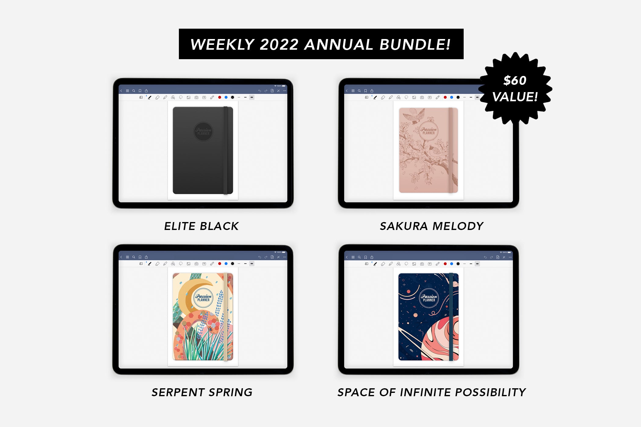 Digital Weekly 2022 Annual Bundle - Passion Planner