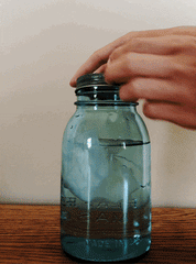 shaking jar of water with sheet of toilet paper inside