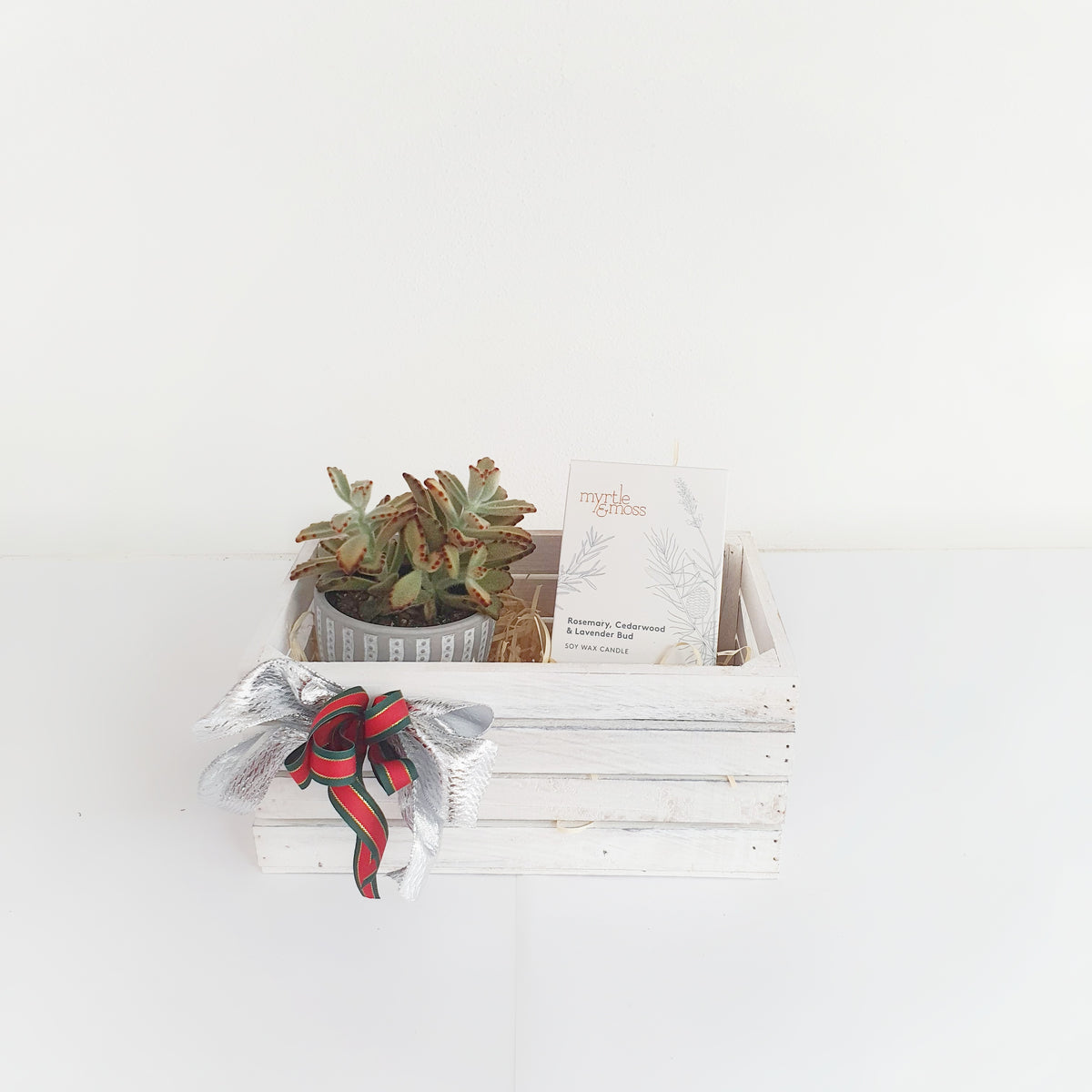 Succulent "Brown thumb" Christmas gift box Sydney