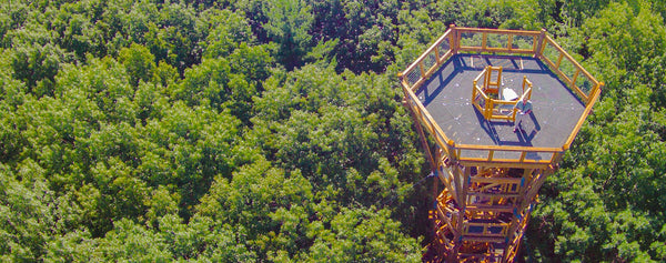 rainforest stain Holden Emergent tower