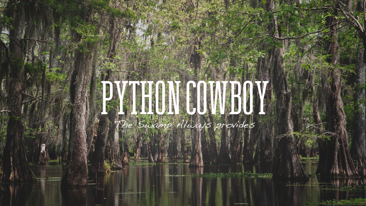 www.pythoncowboy.com