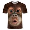 Funny Monkey T-Shirt