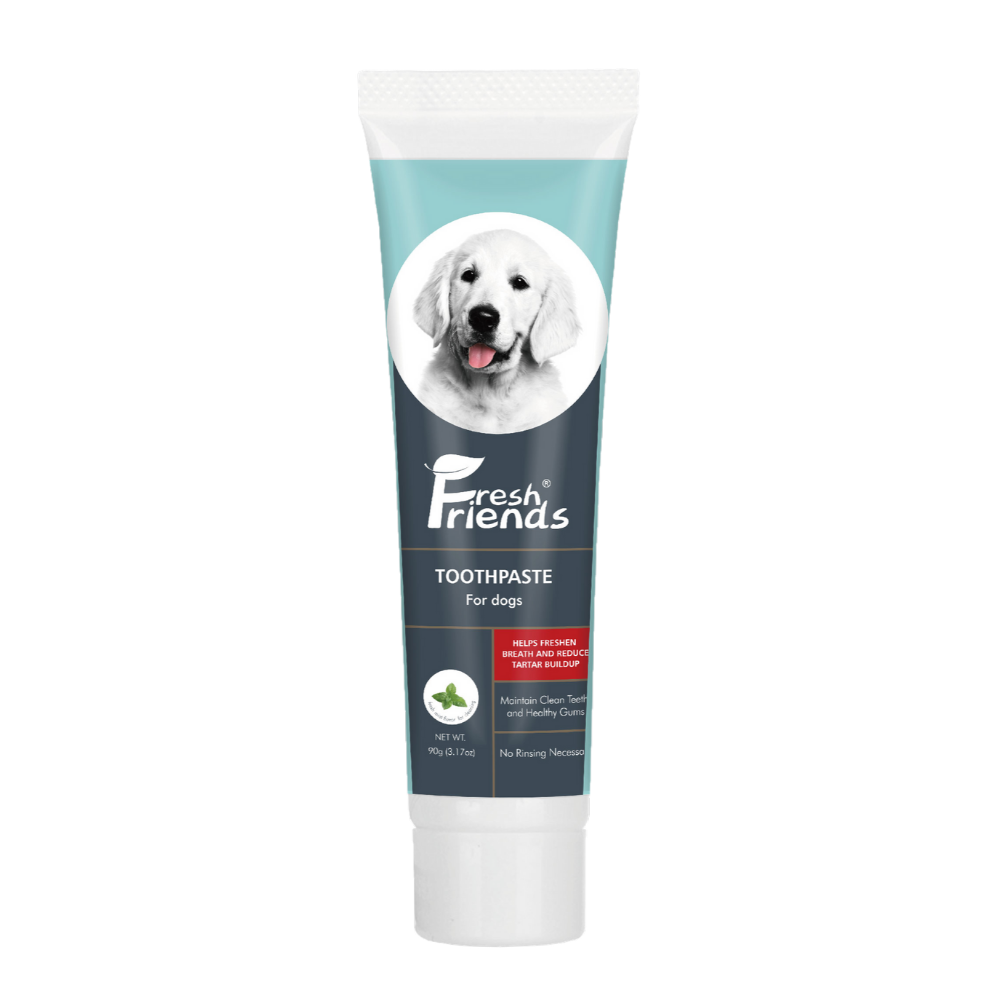 mint dog toothpaste