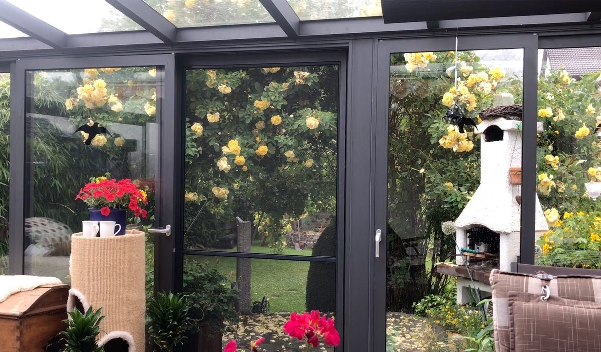 Glass doors looking out to garden and trees in Sauerland, Germany