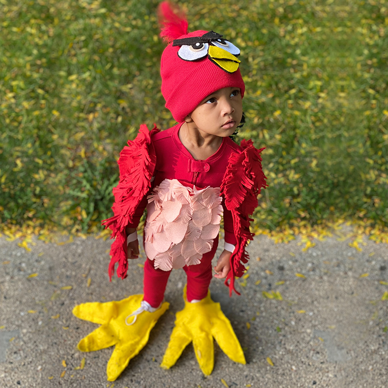 angry birds halloween costume