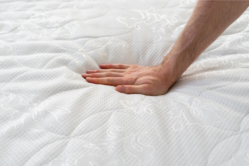 can bed bugs live in a foam mattress