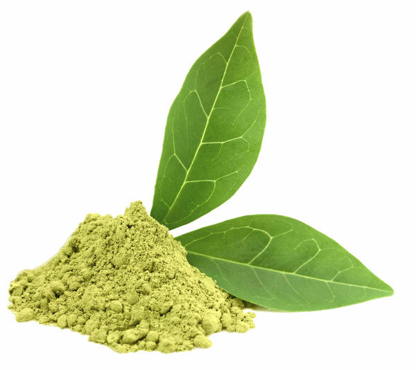 Japanese Matcha Powder