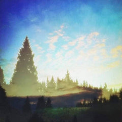 TripDauphin // Until The Trees Vibrate The Sky TAPE