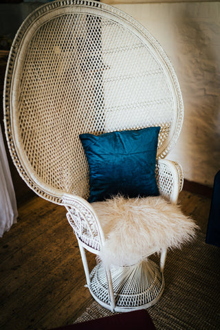 Peacock Chair Hire