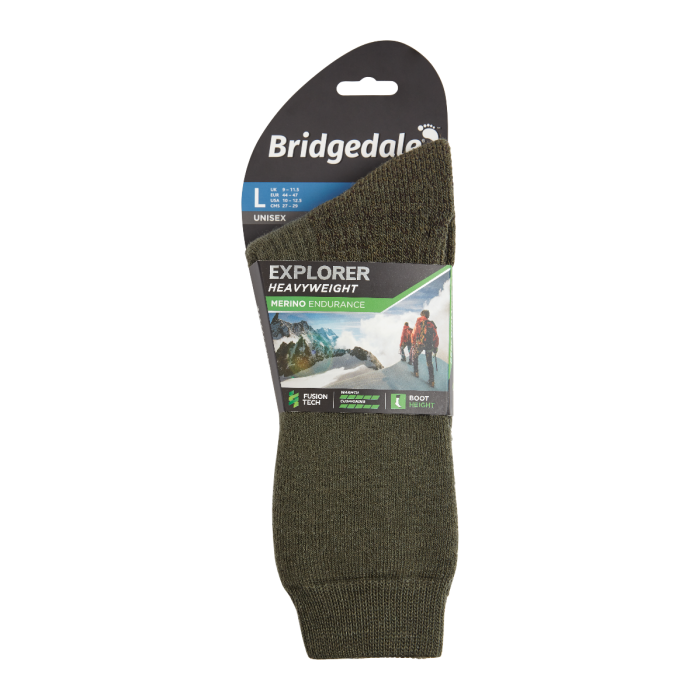bridgedale explorer