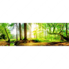 Led Wandbild Idyllischer Wald Bei Sonnenaufgang Panorama Motivvorschau