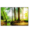 Led Wandbild Idyllischer Wald Bei Sonnenaufgang Querformat Produktvorschau Frontal