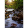 Xxl Wandbild Asiatischer Tropischer Dschungel Hochformat Motivvorschau