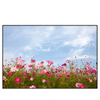 Xxl Wandbild Blumenwiese Bei Strahlend Blauem Himmel Querformat Produktvorschau Frontal