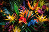 Xxl Wandbild Exotische Tropische Pflanzen Querformat Crop
