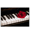 Xxl Wandbild Klavier Rose Querformat Produktvorschau Frontal