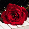 Xxl Wandbild Klavier Rose Querformat Zoom