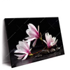 Xxl Wandbild Magnolien Zen Steine Querformat Produktvorschau Seitlich