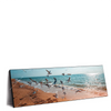 Xxl Wandbild Moewen Am Strand Panorama Produktvorschau Seitlich