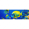 Xxl Wandbild Tropische Unterwasserwelt Panorama Motivvorschau