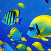 Xxl Wandbild Tropische Unterwasserwelt Panorama Zoom