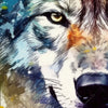 Xxl Wandbild Wolf Mit Bunten Farbspritzern No 2 Hochformat Zoom