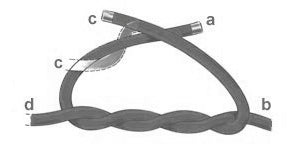 Beginners Beading Guide Knots